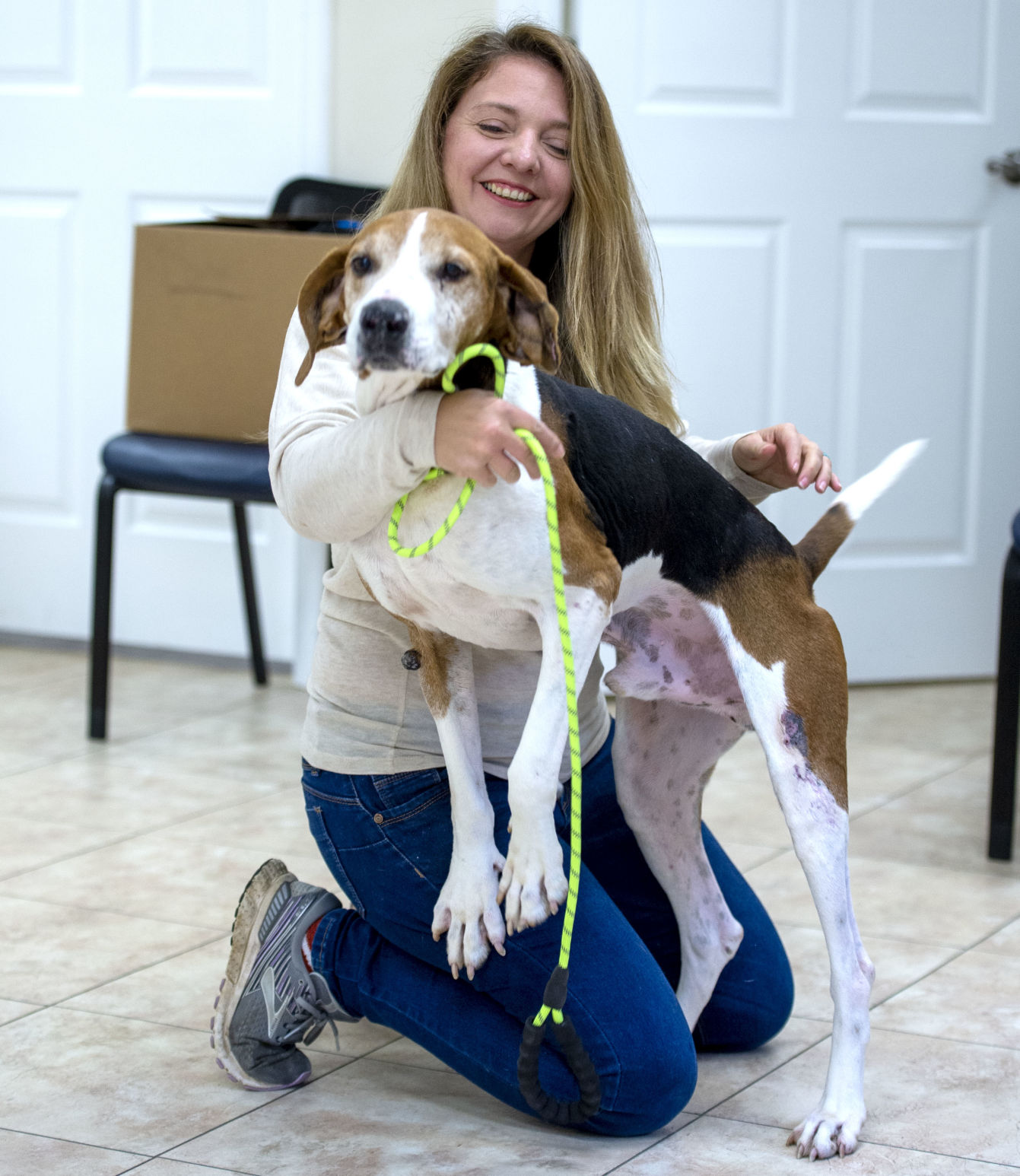 Sullivan County Animal Shelter 04
